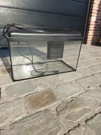 Aquarium 50/60L met interne filter en lamp, Ophalen, Gebruikt, Leeg aquarium