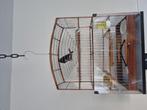 Ik zoek een nieuwe knoeibak voor twatwa kooi, Dieren en Toebehoren, Vogels | Hokken en Kooien, Ophalen of Verzenden, Metaal, Vogelkooi