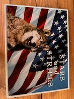 Wandbord Wolf Stars and Stripes Amerikaans thema decoratiebo, Ophalen of Verzenden