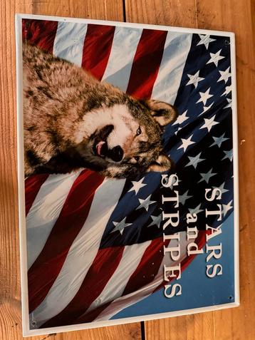 Wandbord Wolf Stars and Stripes Amerikaans thema decoratiebo beschikbaar voor biedingen