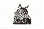 2 knappe Maine Coon katers black tabby gentle giants 9 maand, Dieren en Toebehoren, Katten en Kittens | Raskatten | Langhaar, Kater