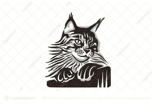 2 knappe Maine Coon katers black tabby gentle giants 9 maand, Dieren en Toebehoren, Katten en Kittens | Raskatten | Langhaar, Kater