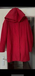 Rode  jas  tussenjas muts M FOTOS VOOR MEE, Kleding | Dames, Jassen | Winter, Ophalen of Verzenden, Zo goed als nieuw, Maat 38/40 (M)
