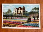 Groeten uit het Bollenland. Hillegom., Verzamelen, Ansichtkaarten | Nederland, Ophalen of Verzenden, Voor 1920, Ongelopen, Zuid-Holland
