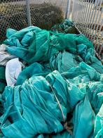 Steigergaas, Tuin en Terras, Planten | Fruitbomen, Ophalen, Minder dan 100 cm, Overige soorten, Volle zon