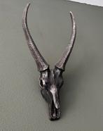 Kunststof schedel, Ophalen of Verzenden, Zo goed als nieuw, Hert, Schedel