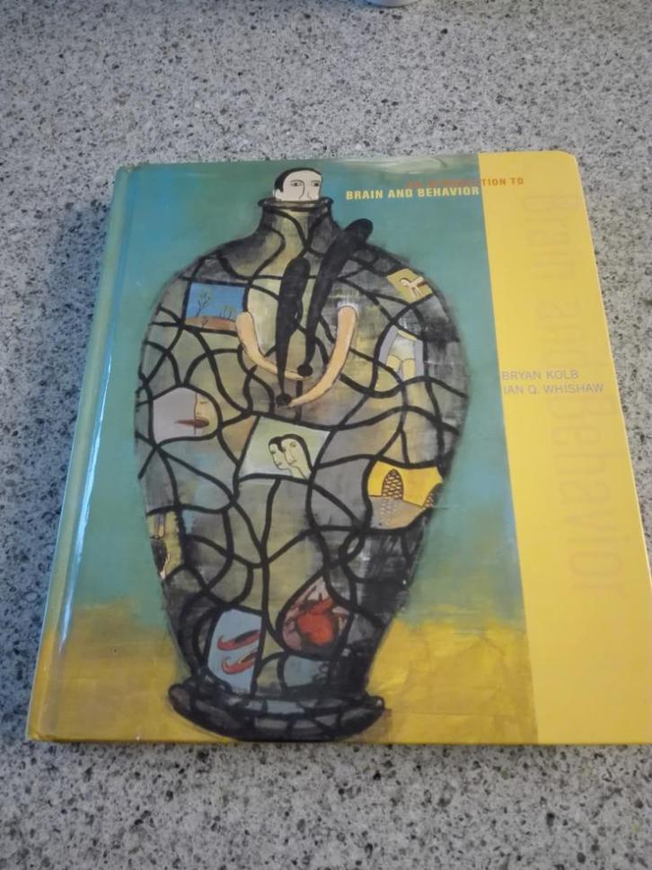 boeken psychologie brain, Hobby en Vrije tijd, Cursusmateriaal, Zo goed als nieuw, Welzijn en Spiritualiteit, Boek, Verzenden