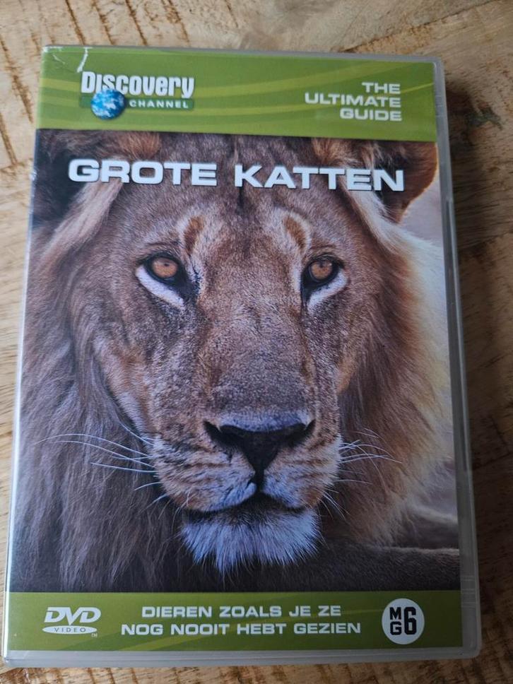 Discovery DVD - Grote Katten - Natuurdocumentaire, Cd's en Dvd's, Dvd's | Documentaire en Educatief, Ophalen of Verzenden