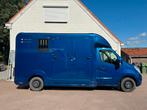 Goed uitziende paardenwagen Renault Master, Ophalen, Zo goed als nieuw, Overige typen