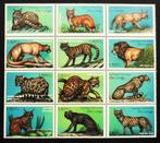 Congo - wilde dieren - katachtigen - 12 zegels luxe postfris, Ophalen of Verzenden, Postfris, Dier of Natuur