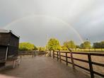 Stalling en weidegang  Epe, Dieren en Toebehoren, Stalling en Weidegang, Stalling, 2 of 3 paarden of pony's