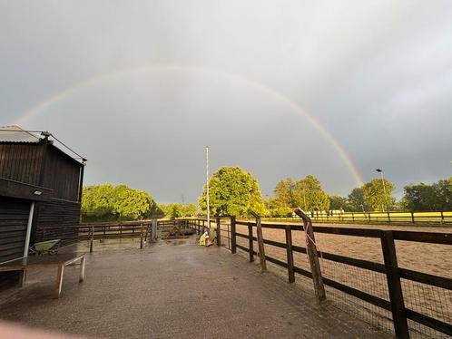 Stalling en weidegang  Epe, Dieren en Toebehoren, Stalling en Weidegang, Stalling, 2 of 3 paarden of pony's