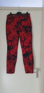 Nieuw Gardeur broek maat 38, Maat 38/40 (M), Nieuw, Ophalen of Verzenden, Lang