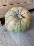 Pompoen, Ophalen of Verzenden, Zo goed als nieuw