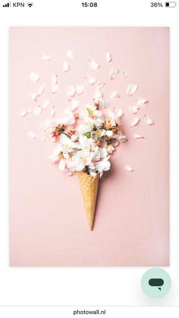 Poster photowall “Waffle Cone with Almond Blossoms” 40x60cm beschikbaar voor biedingen