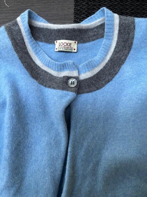 William Lockie vest baby blauw met accent 36-38, Kleding | Dames, Truien en Vesten, Gedragen, Maat 36 (S), Blauw, Verzenden