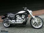 Zeer nette VRSCR Street Rod V-Rod V Rod, Motoren, Chopper, Bedrijf, 1130 cc, Meer dan 35 kW