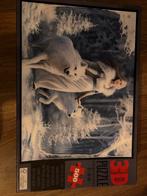 3D puzzel met witte wolven, Ophalen of Verzenden, Minder dan 500 stukjes, Zo goed als nieuw, Rubik's of 3D-puzzel