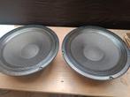 Klipsch K-10-K woofer, Audio, Tv en Foto, Luidsprekers, Subwoofer, Nieuw, 120 watt of meer, Ophalen