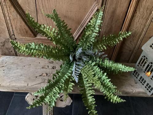 Nieuw forse PTMD varen kunstbloem, Huis en Inrichting, Woonaccessoires | Kunstplanten en Kunstbloemen, Nieuw, Ophalen of Verzenden