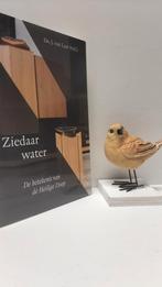 Laar, Ds. J. van; Ziedaar water, Ophalen of Verzenden, Gelezen