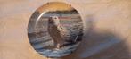 Sierbord The snowy owl van Jim Beaudoin, Ophalen of Verzenden