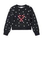 Nieuw trui 134/140 voor kerst, Kinderen en Baby's, Kinderkleding | Maat 134, Meisje, Trui of Vest, Nieuw, Ophalen of Verzenden