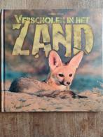 Verscholen in het Zand - Barbara Taylor, Boeken, Ophalen of Verzenden, Barbara Taylor, Non-fictie