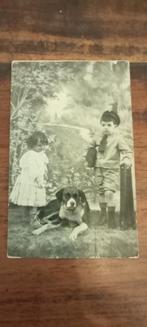 Oude Foto Kaart 1911 - Kinderen en Hond, Gebruikt, Foto, Ophalen of Verzenden, Voor 1940