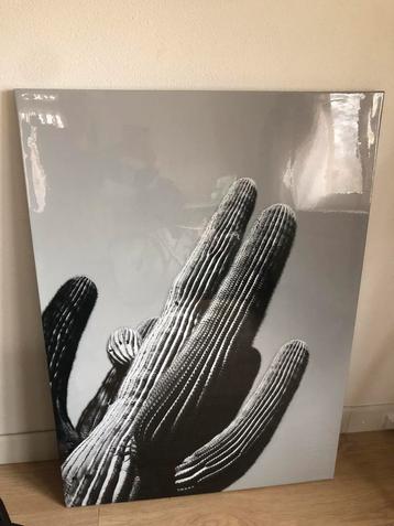 Groot canvas / schilderij cactus zwart grijs wit 