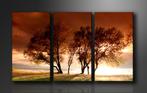 Nieuw * 3 Luik Canvas Schilderij Bomen Natuur 90x160cm, Nieuw, 125 cm of meer, Ophalen of Verzenden, Schilderij