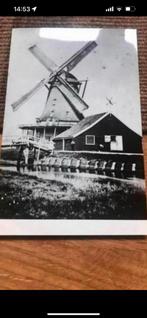 Wormerveer, oliemolen de Engel, Ophalen of Verzenden, Voor 1920, Groningen