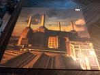 Lp pink floyd - animals, Cd's en Dvd's, Vinyl | Rock, Ophalen of Verzenden, Gebruikt, 12 inch, Poprock