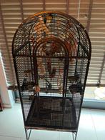 Zwartkop caique, Dieren en Toebehoren, Ophalen, Zo goed als nieuw, Metaal, Vogelkooi