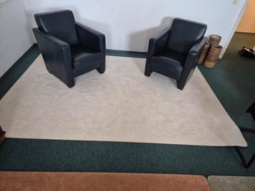 Stijlvolle Fauteuils - Set van 2 beschikbaar voor biedingen