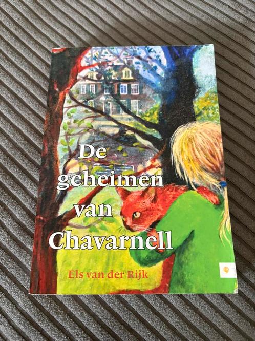 Els van der Rijk - De geheimen van Chavarnell, Boeken, Kinderboeken | Jeugd | 13 jaar en ouder, Zo goed als nieuw, Ophalen of Verzenden