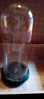 Te koop antieke glazen stolp op houten voet, Antiek en Kunst, Antiek | Overige Antiek, Ophalen