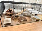 Hamsterkooi incl accessoires, Dieren en Toebehoren, Kooi, Zo goed als nieuw, Hamster, 75 tot 110 cm