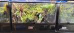 Exo terra 90x45x60 Terrarium Paludarium Gifkikkers, Dieren en Toebehoren, Reptielen en Amfibieën | Toebehoren, Ophalen, Gebruikt