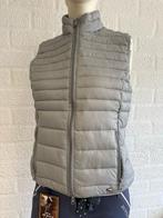 HKM bodywarmer grijs 38, Dieren en Toebehoren, Paardrijkleding, Ophalen of Verzenden, Gebruikt, Dames, Bovenkleding