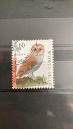 België 3983 vogels uil gestempeld/218, Ophalen of Verzenden, Dier of Natuur