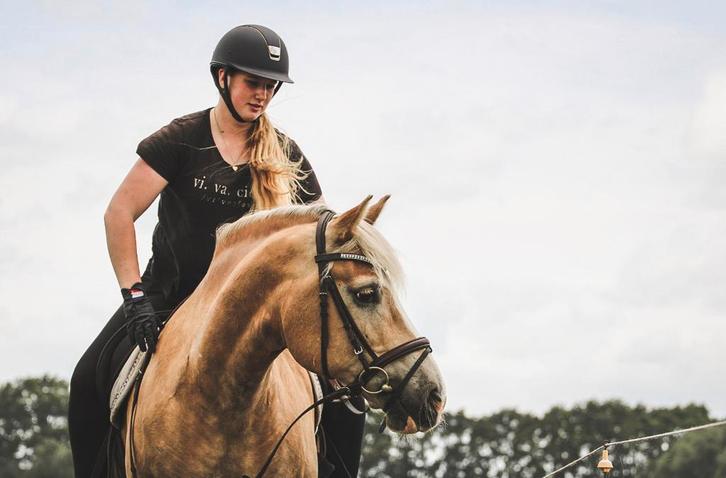 Bijrijd / verzorg paard, Dieren en Toebehoren, Stalling en Weidegang