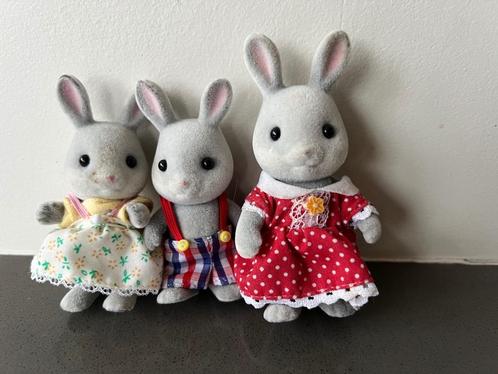 Sylvanian families konijn, Verzamelen, Poppetjes en Figuurtjes, Zo goed als nieuw, Ophalen of Verzenden