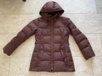 Burberry Brit: z.g.a.n. bruine donsjas maat S, Bruin, Verzenden, Zo goed als nieuw, Burberry