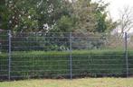 Goedkoop Hekwerk voor Tuin/Vijver/Bedrijfspand/Afscheiding, Ophalen, Nieuw, IJzer, Dubbelstaafmat hekwerk