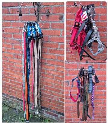 Partijtje Partij lijnen halsbanden lijnen hondenlijnen beschikbaar voor biedingen