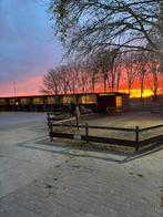 Pensionstalling Almere Haven, Dieren en Toebehoren, Stalling en Weidegang, Weidegang