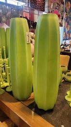 Appelgroene Glazen Vazen - Diverse Maten, Ophalen of Verzenden, Gehele jaar, Halfschaduw, Zaad