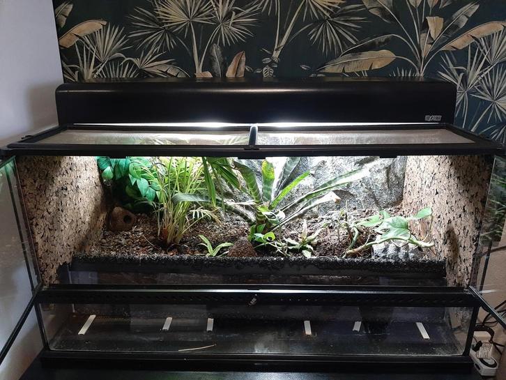 Exo terra terrarium 90x45x45  met lichtkap en warmtemat., Dieren en Toebehoren, Reptielen en Amfibieën | Toebehoren, Zo goed als nieuw