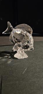 Swarovski Doktersvis helder, Verzamelen, Swarovski, Ophalen, Zo goed als nieuw, Figuurtje